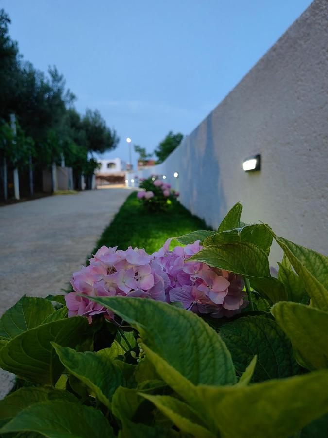 Apartment White Pearl Ražanac Exterior foto